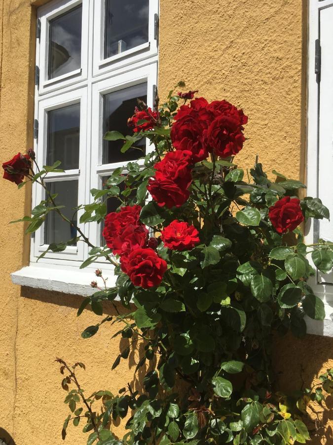 Jan Og Inges Bed & Breakfast Middelfart Ngoại thất bức ảnh